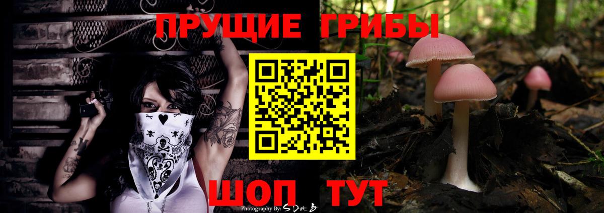 Псилоцибиновые грибы мицелий  Вход с VPN  цены наркотик  Химки  Псилоцибиновые грибы мицелий 